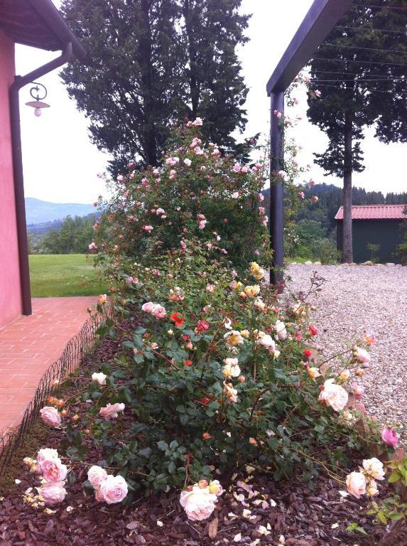 Azienda Agrituristica Bellavista Montespertoli Exterior foto